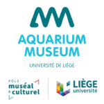 Avatar de l'auteur